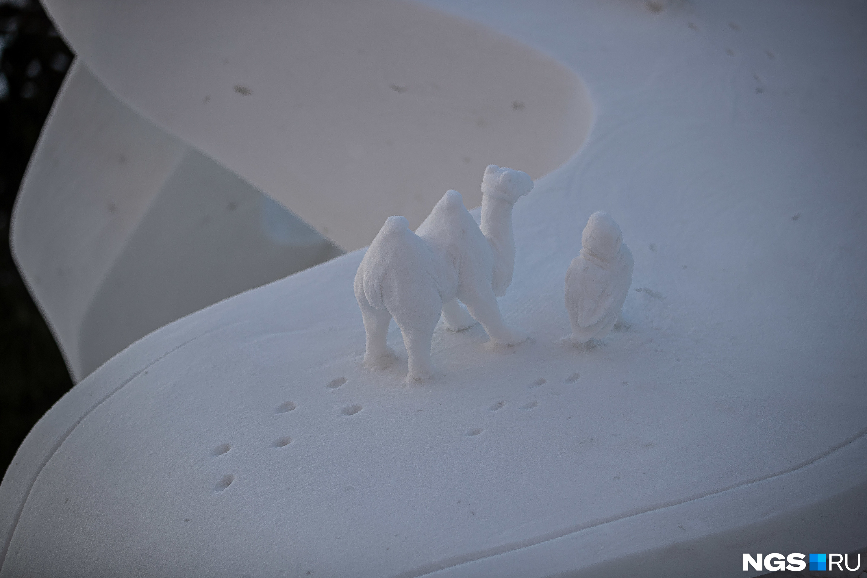Пока не начались снегопады, можно рассмотреть мельчайшие элементы: например, следы верблюда