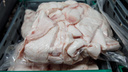 Под Волгоградом на складе торговой сети «Магнит» ввели карантин по африканской чуме свиней