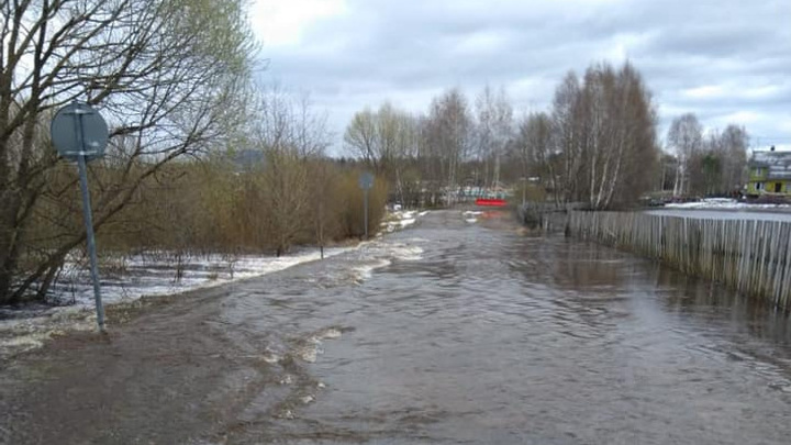 В Ярославской области река вышла из берегов и затопила дорогу: какие районы в опасности