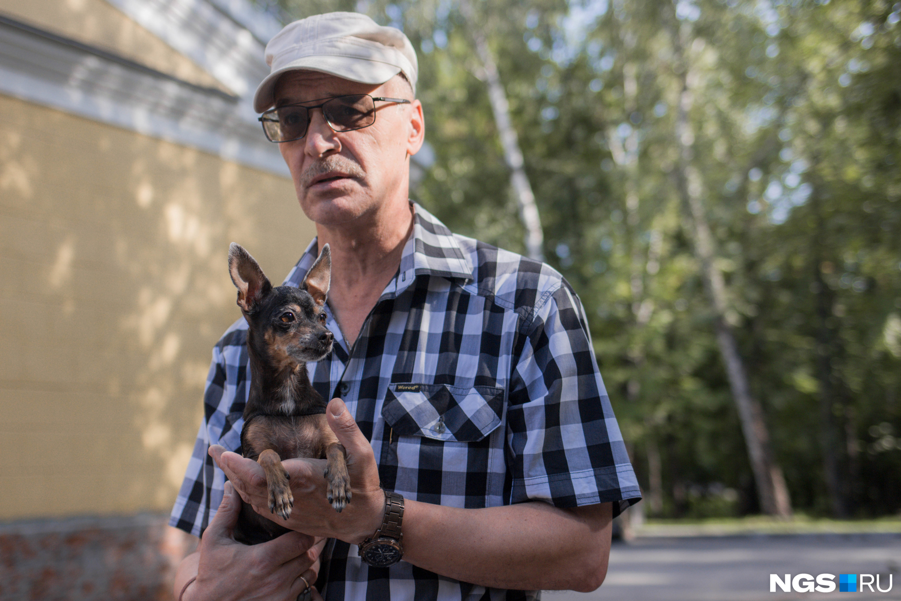 Какие породы собак популярны у новосибирцев, репортаж о маленьких собачках,  сколько стоит той-терьер, сколько стоит мопс - 24 августа 2021 - НГС