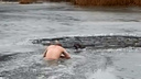 Скинул одежду и пошел вброд: очевидцы сняли на видео спасение собаки из ледяной полыньи в Волгограде