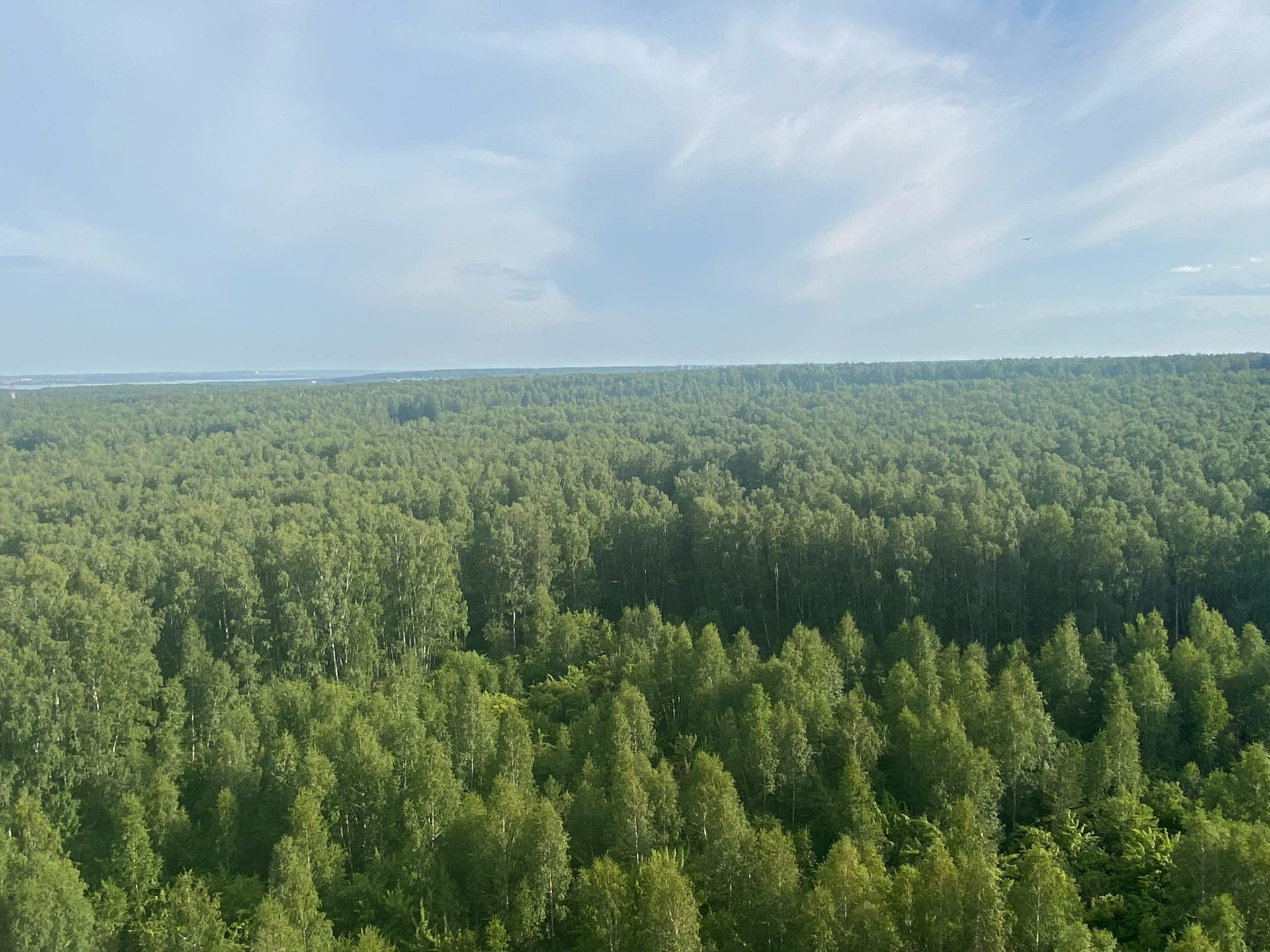 Леса Костромской области сверху.