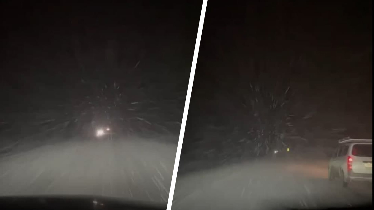 В Новосибирской области ночью трассу замело снегом — очевидец снял это на видео