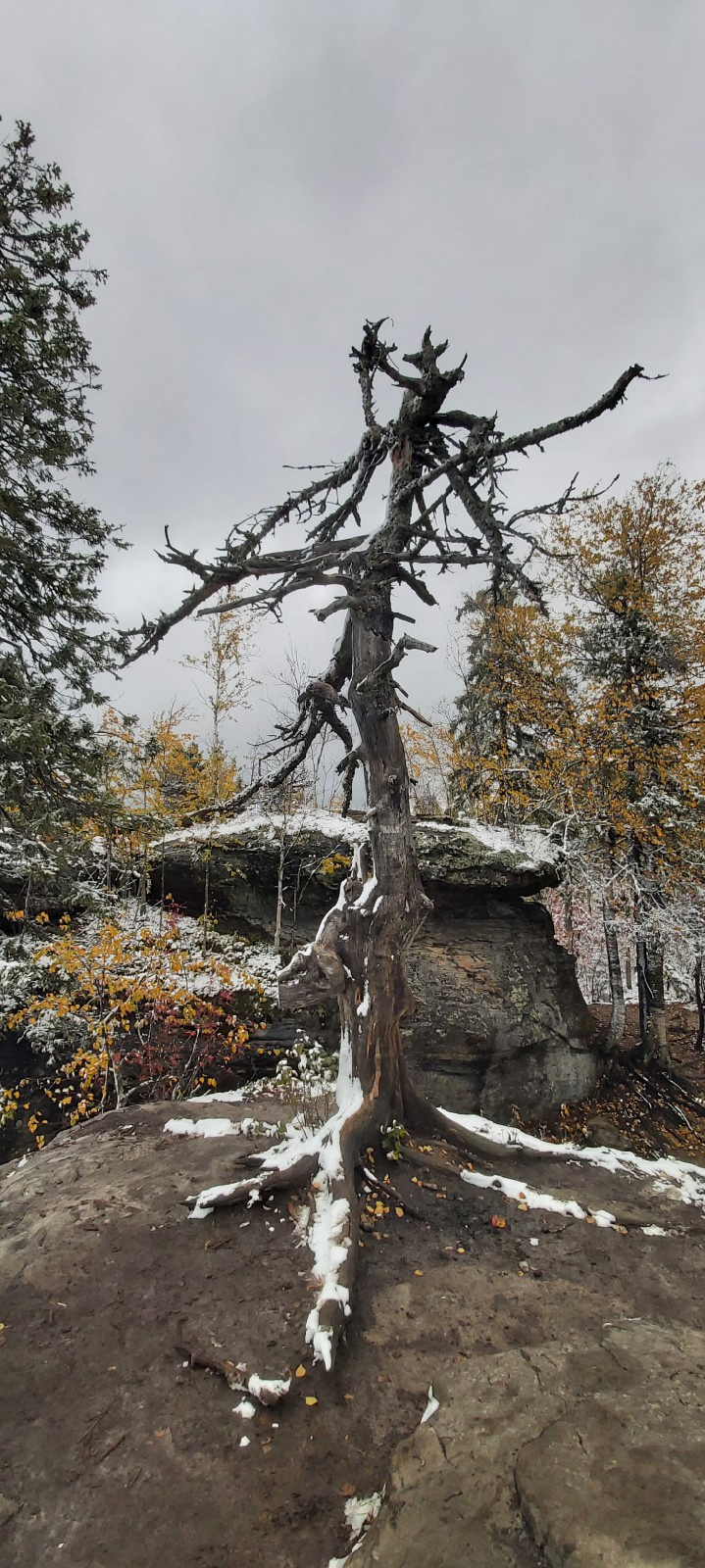 Снег на камнях и засохшем дереве на фоне сурового уральского неба