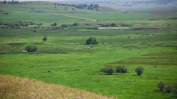 В Кузбассе более 170 гектаров сельхозземель отдадут угольному разрезу
