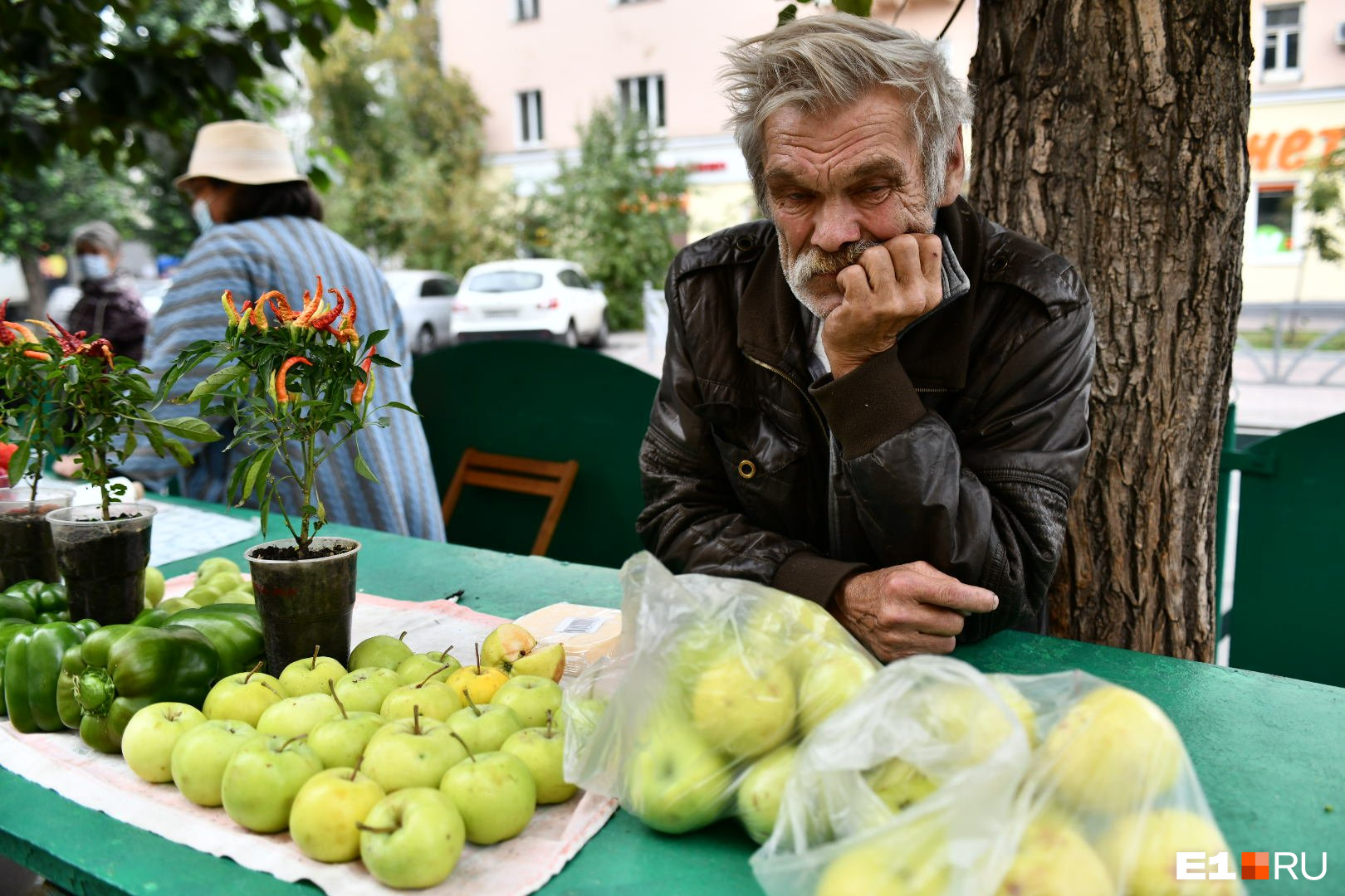 Яблоки садовые, зеленые, но сладкие — 120 рублей за килограмм