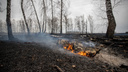МЧС разослало новосибирцам СМС с предупреждением о сильных пожарах в регионе