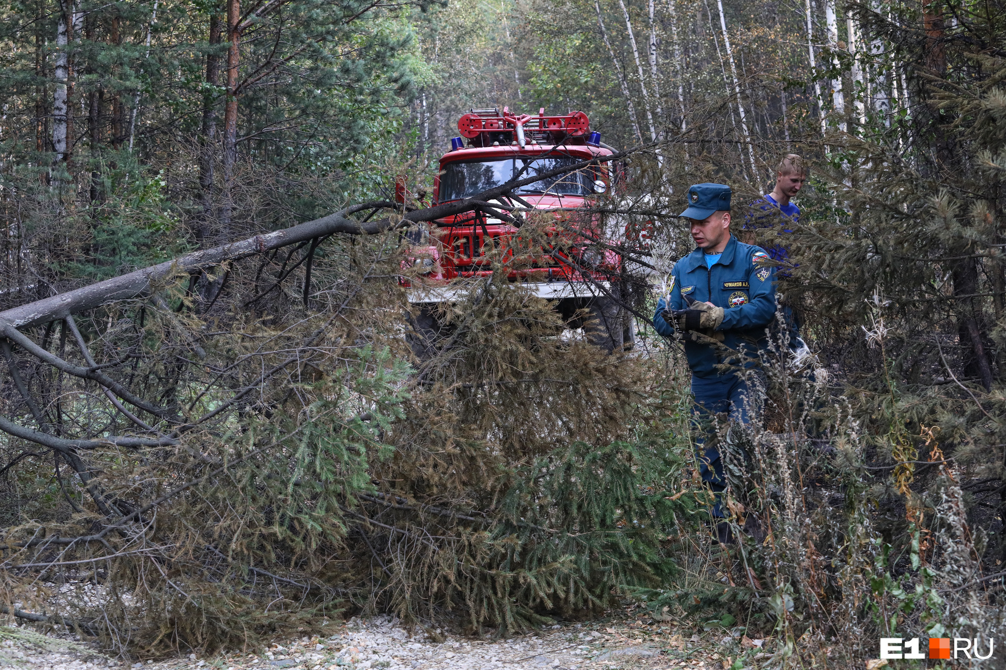 Тушением лесов занимаются пожарные из Свердловской и Челябинской области