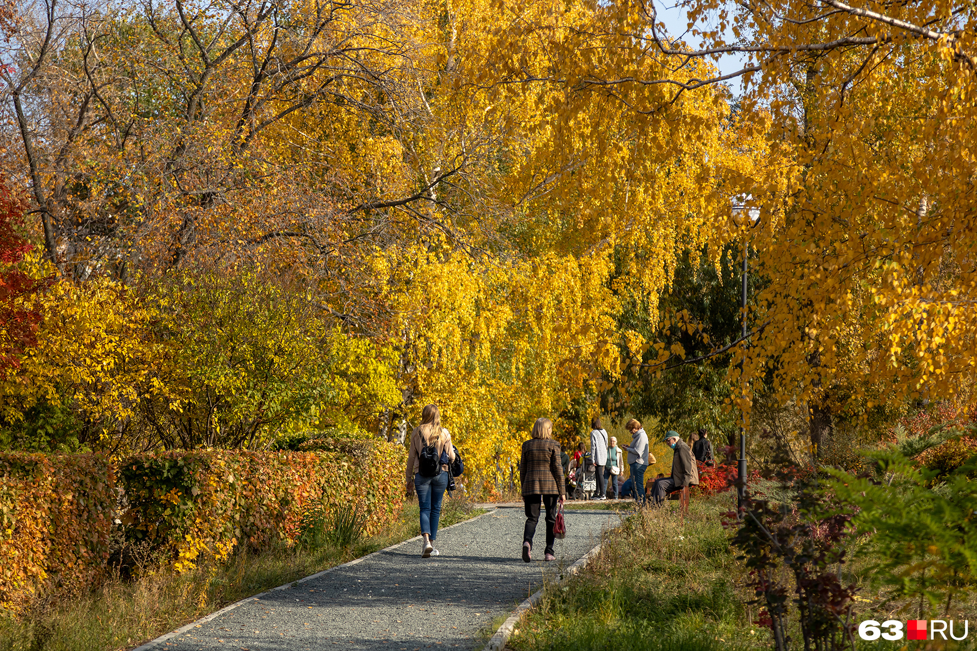 Фото погода в самаре