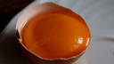 Чьи яйца круче? Белые или коричневые, что значит маркировка и правда ли фермерские лучше продукции птицефабрик