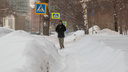 «Выше нормы на <nobr class="_">4–6 градусов»</nobr>: февраль в Новосибирске начнется с теплой погоды