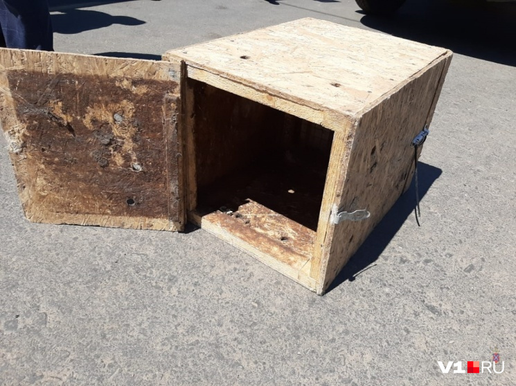 В этом ящике Грома пытались перевезти в Москву В этом ящике Грома пытались перевезти в Москву