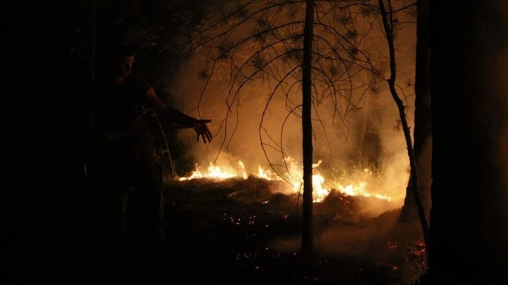 «Вы ленивые жирные задницы». Волонтер — о том, почему на лесных пожарах не хватает добровольцев
