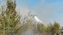 «Возникла угроза ЧС»: в Тольятти загорелся лес
