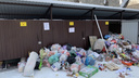 Власти НСО выделили дополнительные мусоровозы для вывоза накопившихся за праздники отходов