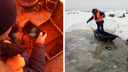 Из новосибирского озера достали тело утонувшего водителя бульдозера