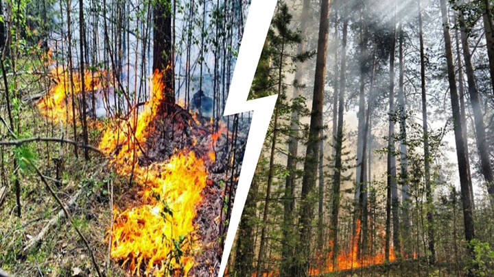 Пожар, спаливший лес в Челябинской области на десятки миллионов рублей, обернулся уголовным делом
