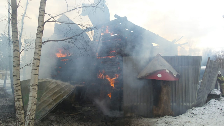 В питомнике под Екатеринбургом, где живут полсотни собак, случился пожар
