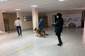 �������� ��� 217 ����: �������� ��������� � ������������ ������� ������ �� �����