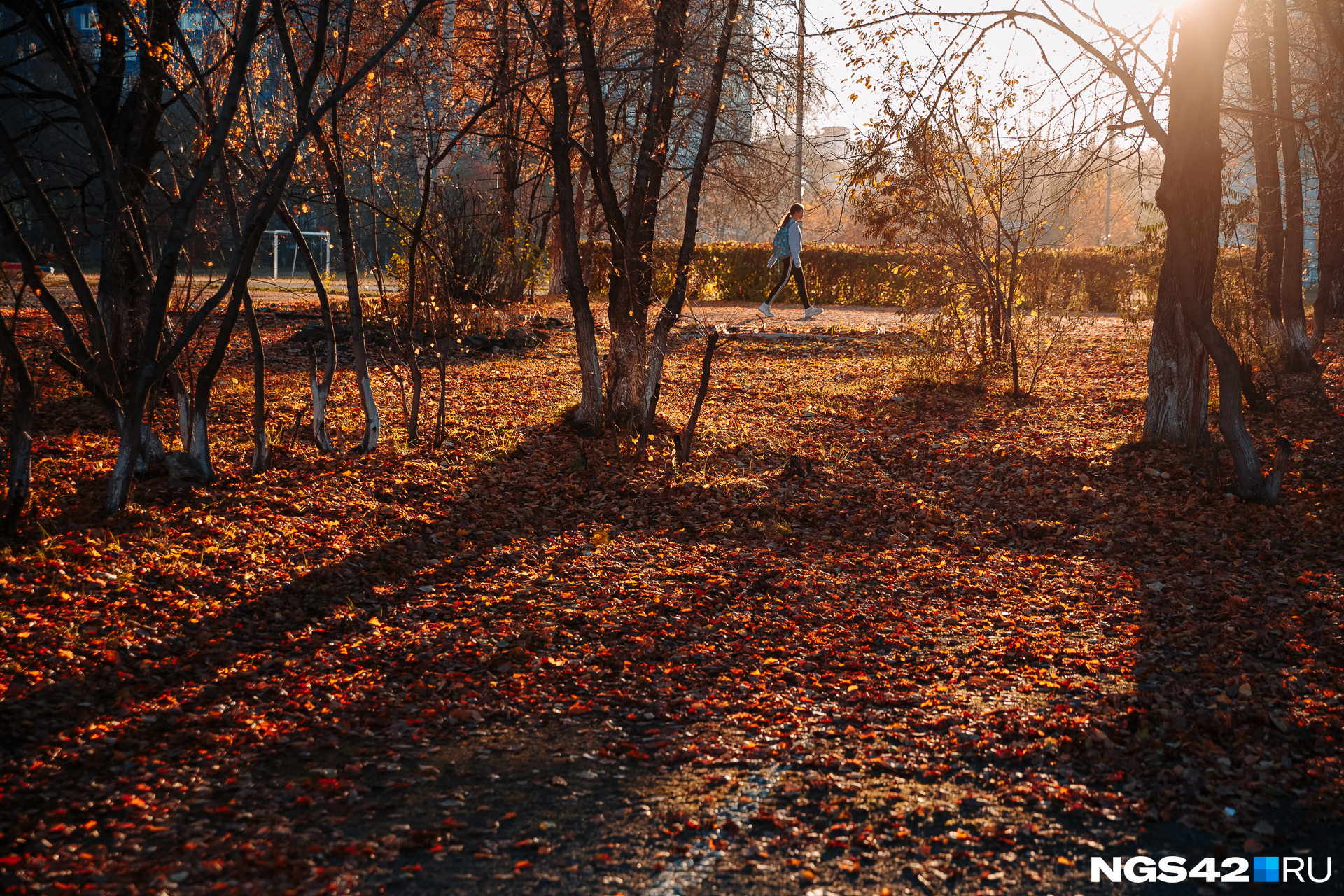 Начало октября. Осень конец октября. Осень 22. Бабье лето в октябре. Осенние фото Бахмута.