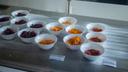 Пилотный проект по организации школьного питания будут обкатывать в Красноярском крае