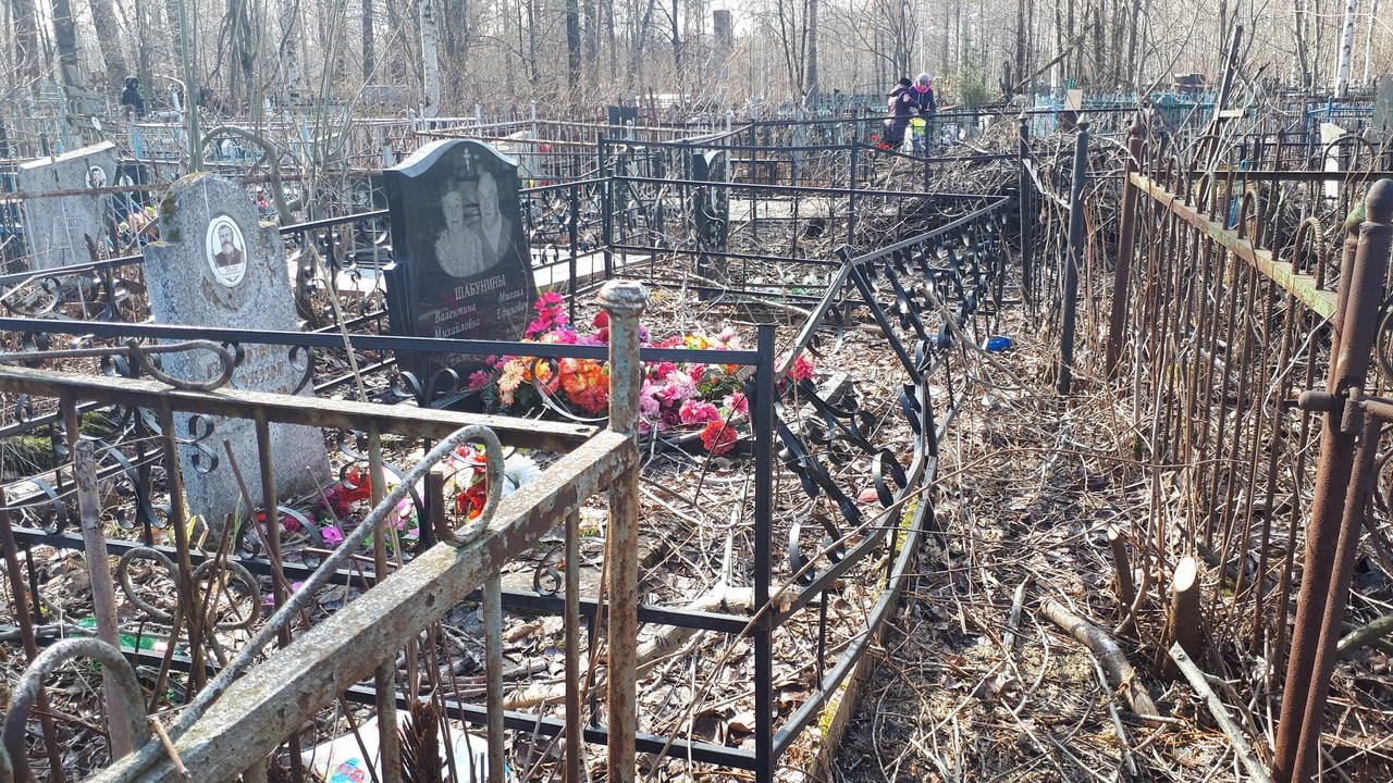 Часть могил еще навещают родственники умерших, а некоторые участки совершенно запущенные