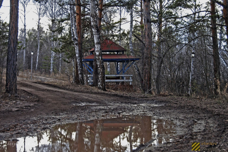 Всё очень запущенно, но зато кругом деревья Всё очень запущенно, но зато кругом деревья