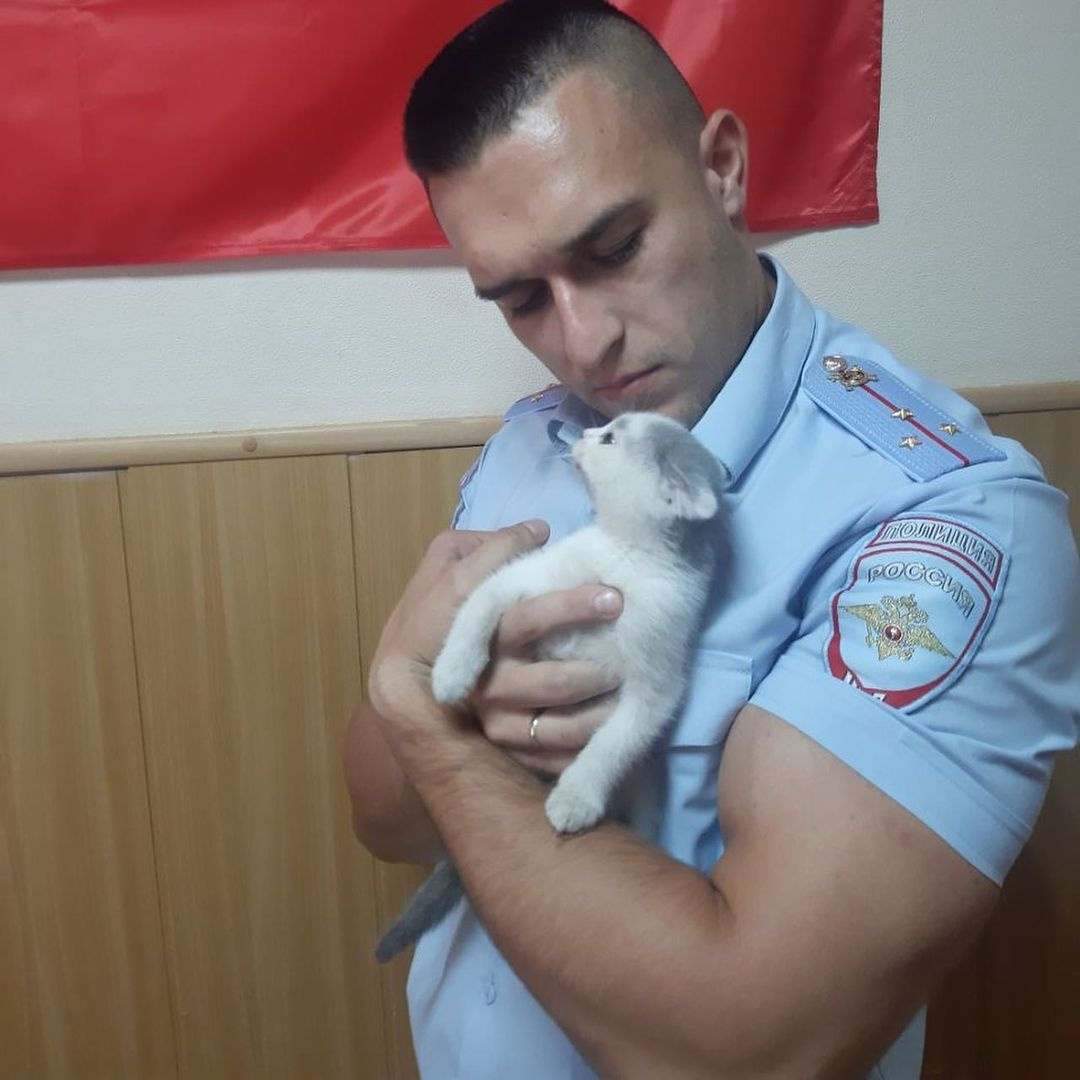Полицейские ищут хозяина для котенка Полицейские ищут хозяина для котенка