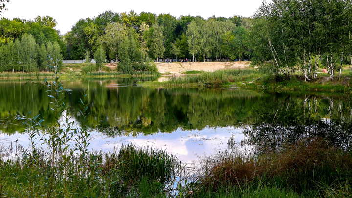 Природа и полный дзен. Загородные базы отдыха в Нижегородской области