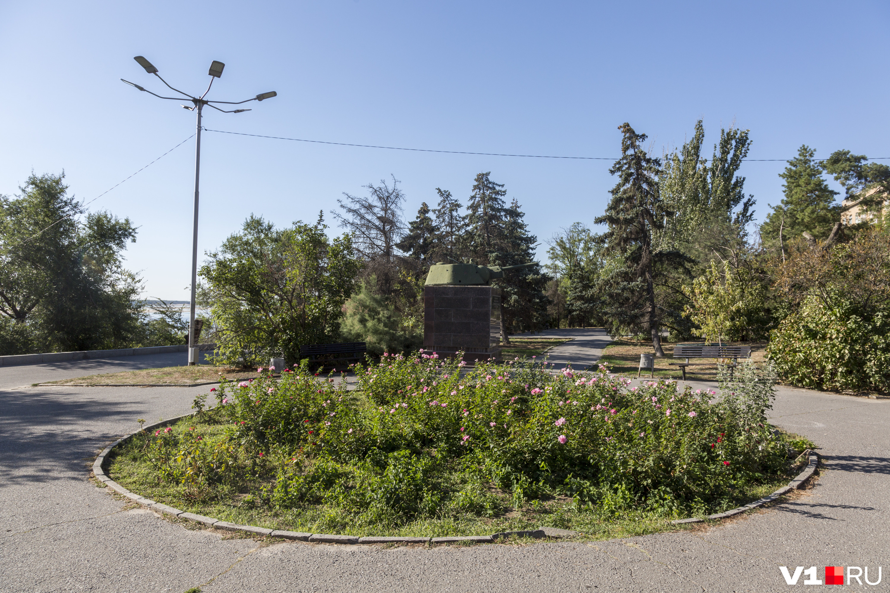 Сорняки вместо ухоженных клумб давно уже иллюстрируют заботу администрации Волгограда о городе