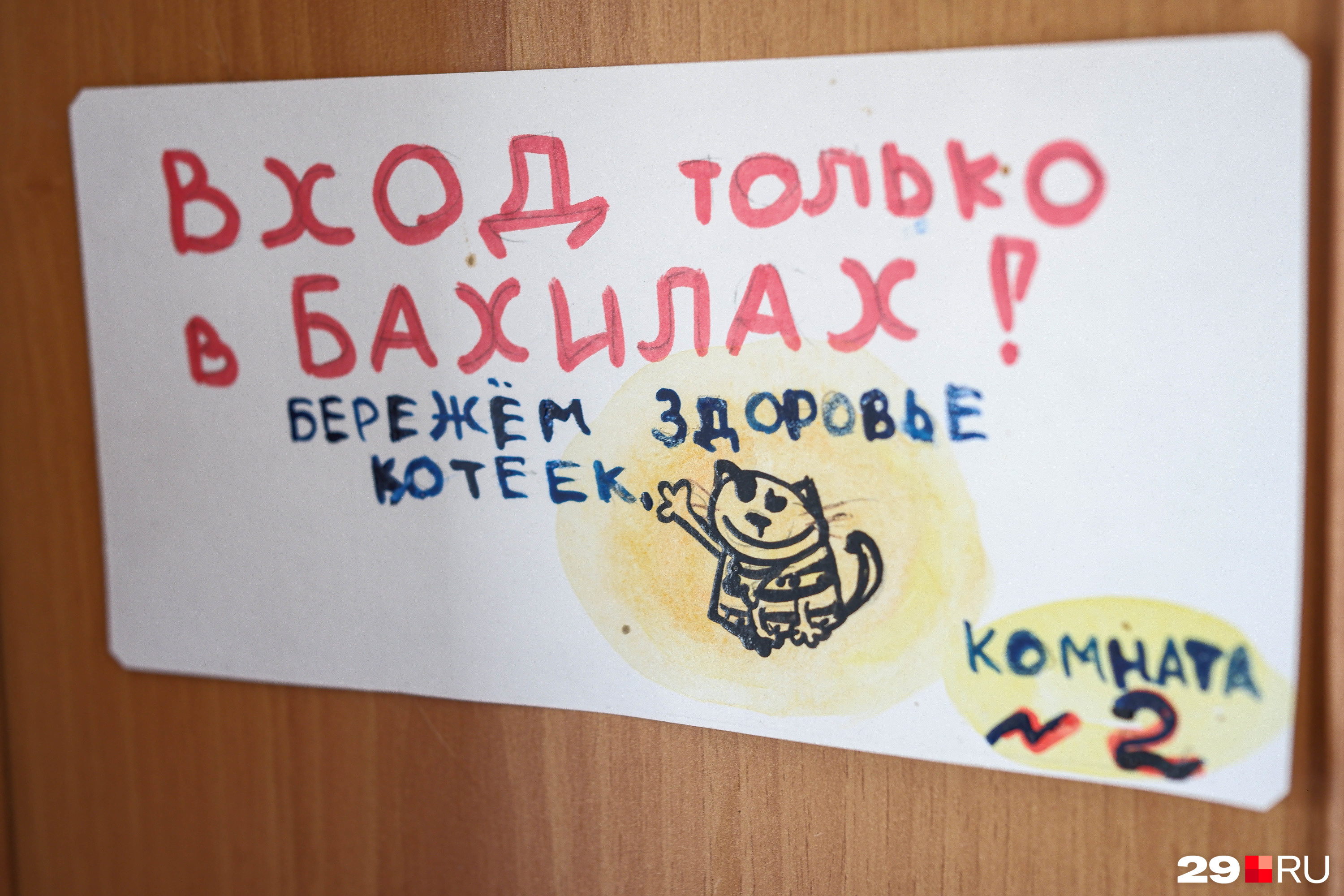 К здоровью животных тут относятся с трепетом К здоровью животных тут относятся с трепетом