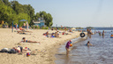 Проверка <nobr class="_">№ 2</nobr>: на всех городских пляжах Ярославля вода кишит стрептококками и кишечной палочкой