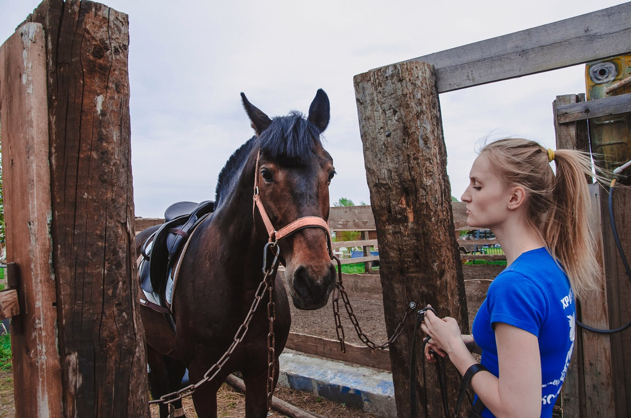 В «Храбром сердце» можно совместить отдых в беседках с конной прогулкой. Инструкторы проследят за каждым наездником