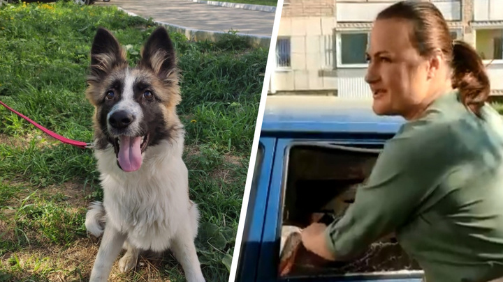«Собачка чуть не задохнулась!» На Урале зоозащитница топором разбила окна в машине, чтобы спасти пса