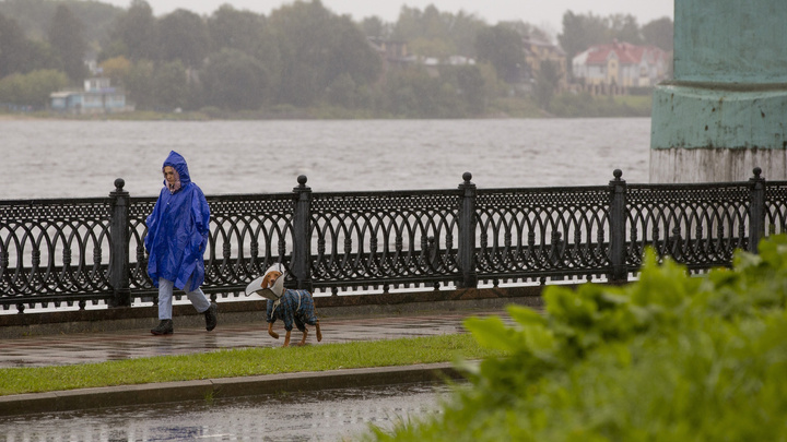 «Дожди — надолго»: синоптики предупредили ярославцев о погоде в ближайшие дни