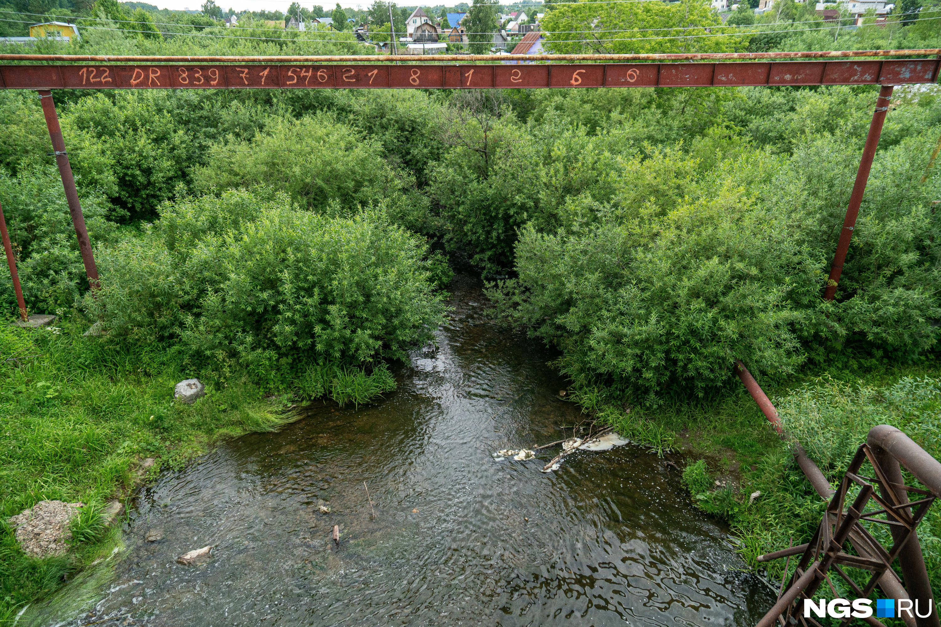 Река каменка новосибирск фото