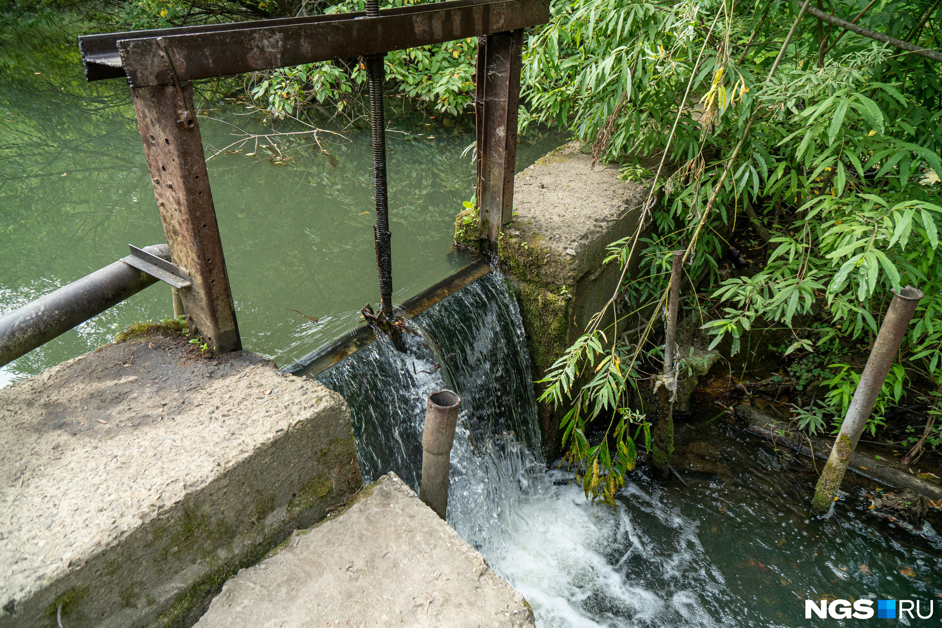 Река плющиха