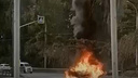 В Новосибирске возле аэропорта Толмачево вспыхнул и сгорел хетчбэк Peugeot — пожар попал на видео