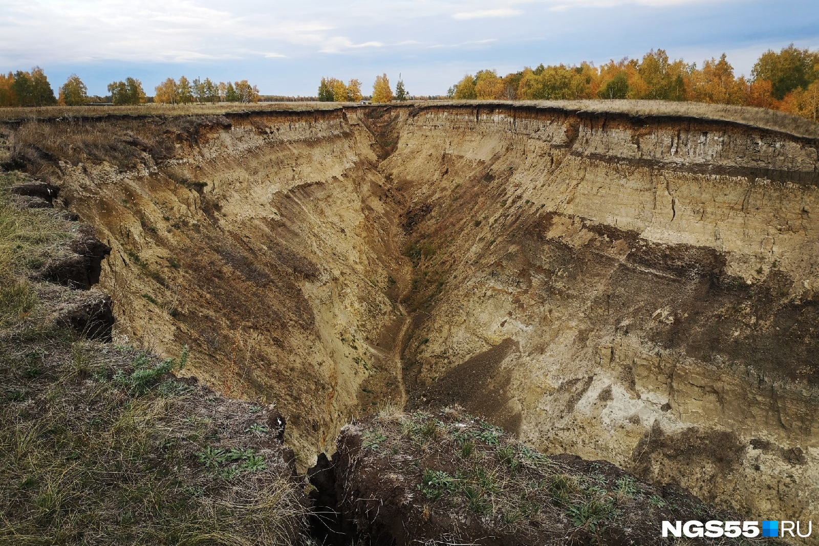 Берег драверта омская область