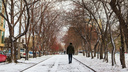 Новосибирск ждет первого снега. В какие даты он радовал горожан за последние <nobr class="_">7 лет?</nobr>