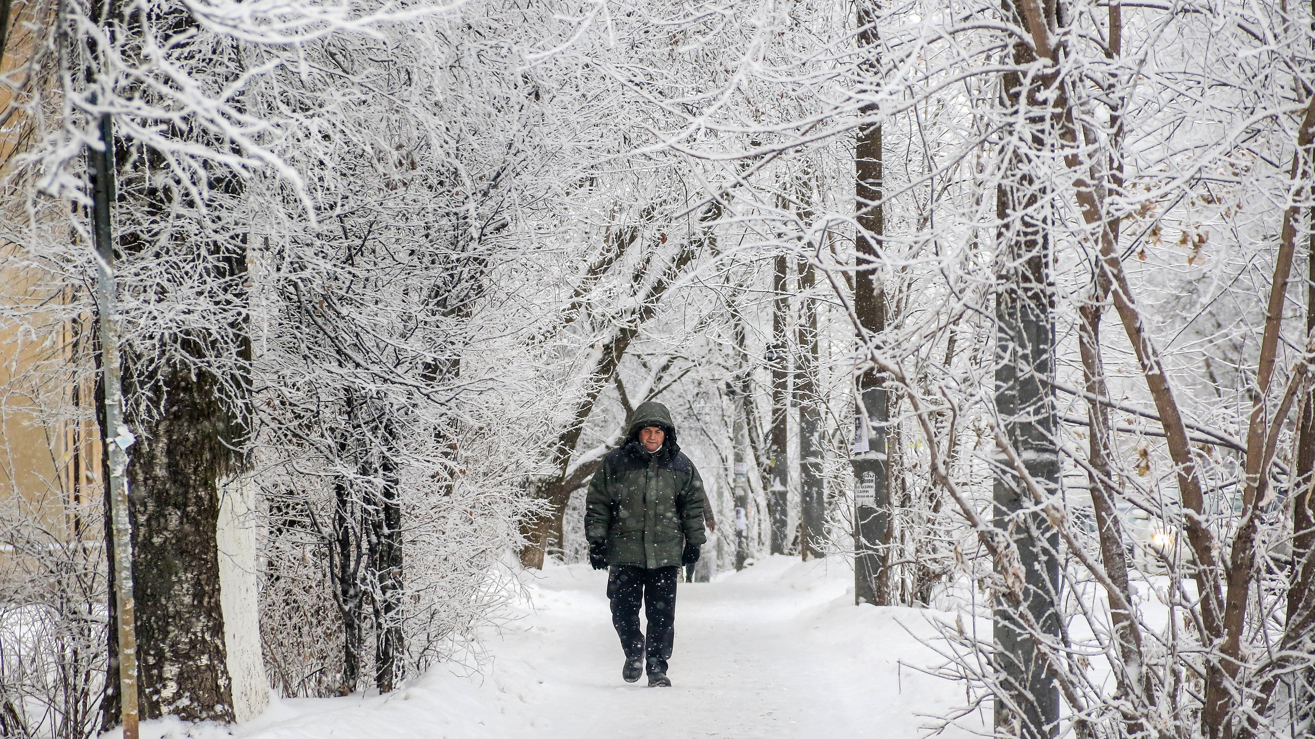 Последние дни новогодних каникул в Нижегородской области будут серыми и снежными