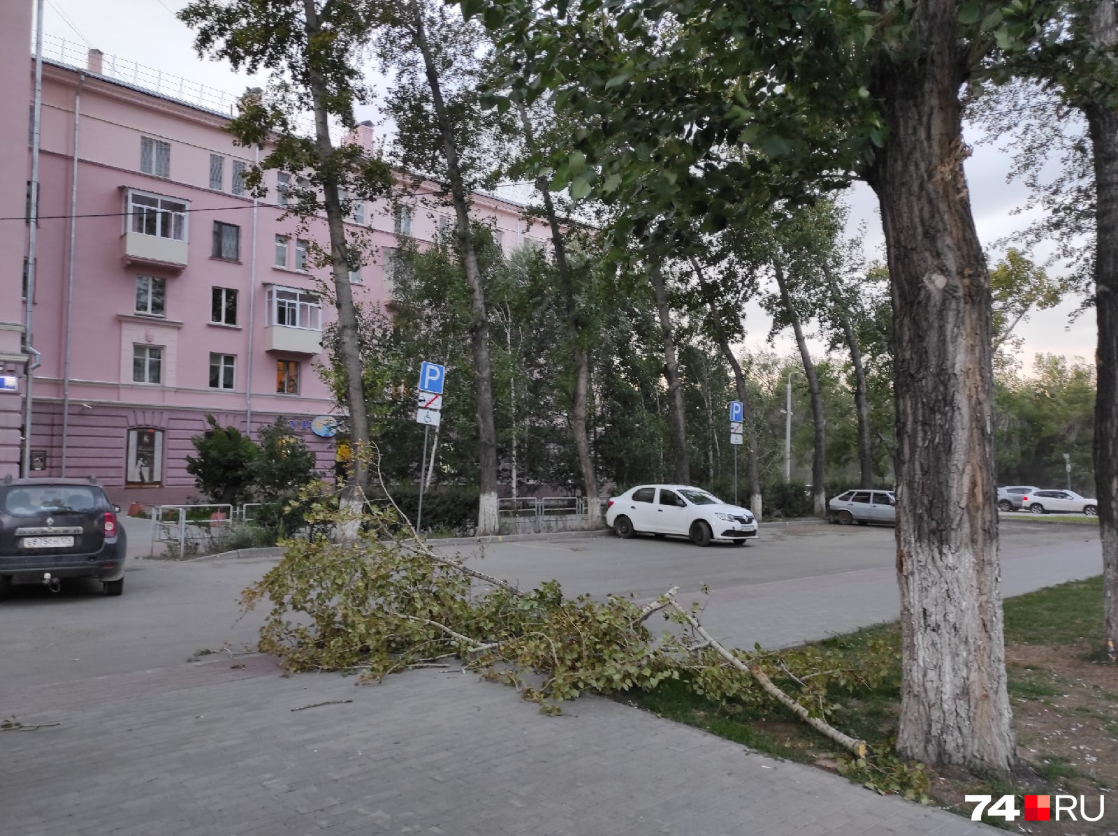На проспекте Ленина возле Музея ЧТЗ сломало ветку
