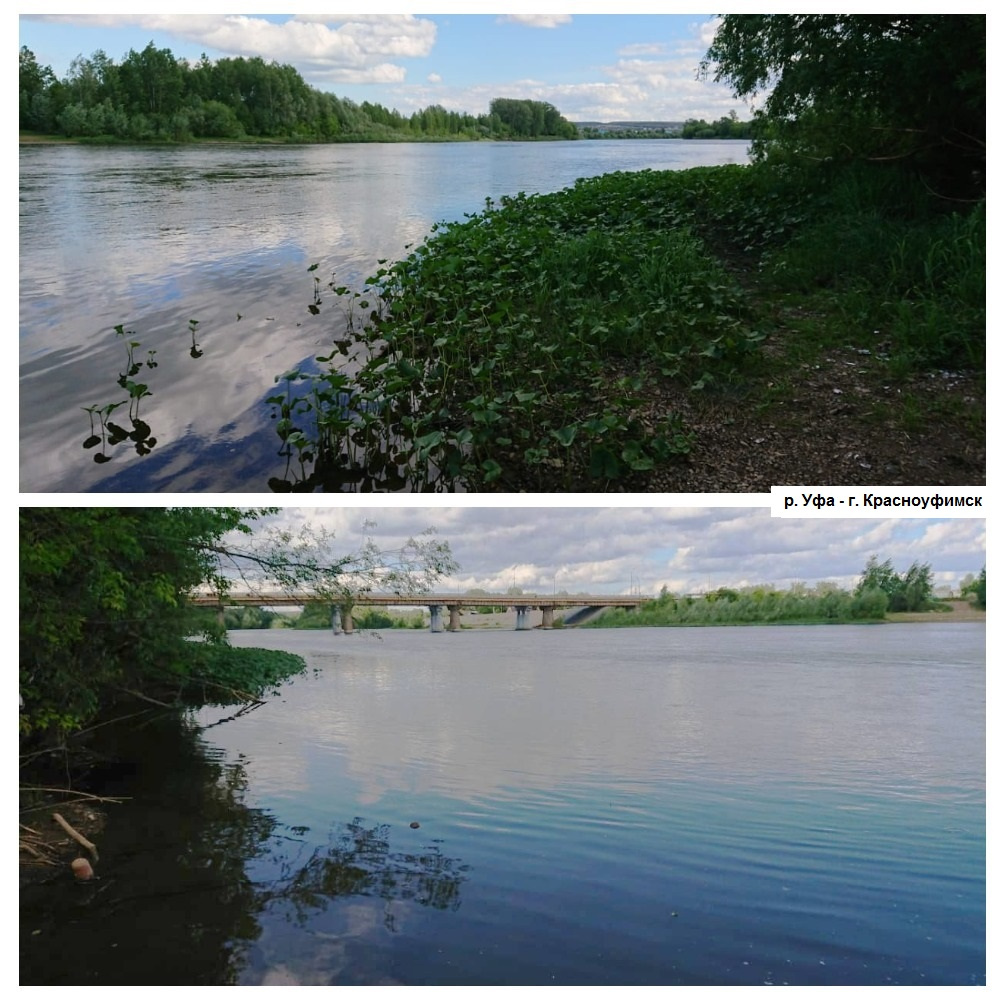 Водность реки. Водность реки это. Обмеление реки Воронеж. Обмеление рек в Мордовии. Обмеление рек меры охраны.