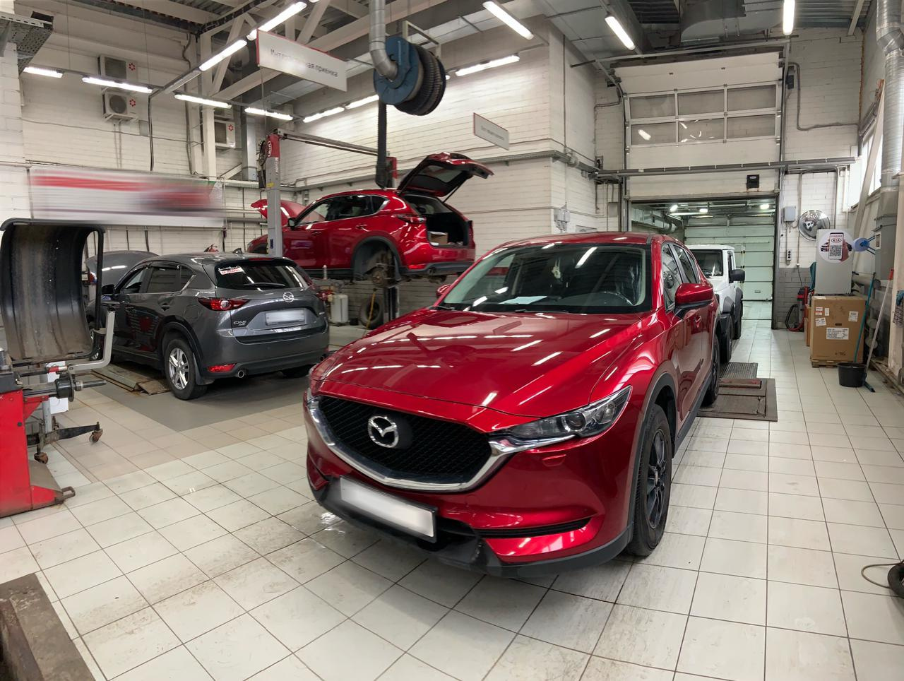 «Автомир» дает возможности для профессионального обучения и роста «Автомир» дает возможности для профессионального обучения и роста