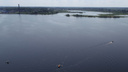 «Погибнут растения и животные»: рассказали об угрозах строительства ЦБК на Рыбинском водохранилище