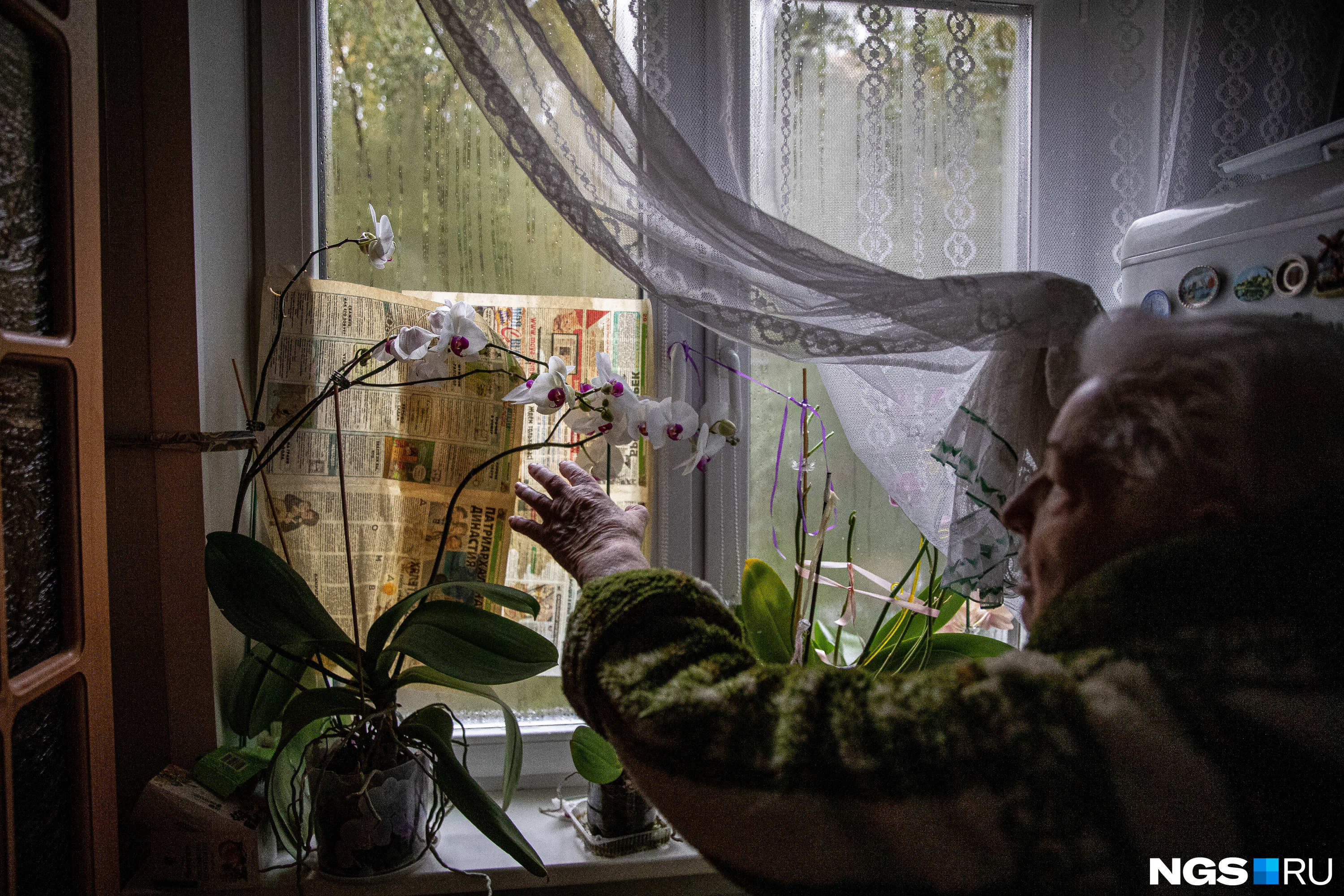 Раиса Степановна показывает свой любимый цветок, который, как и люди, страдает от чрезмерного холода в помещении Раиса Степановна показывает свой любимый цветок, который, как и люди, страдает от чрезмерного холода в помещении