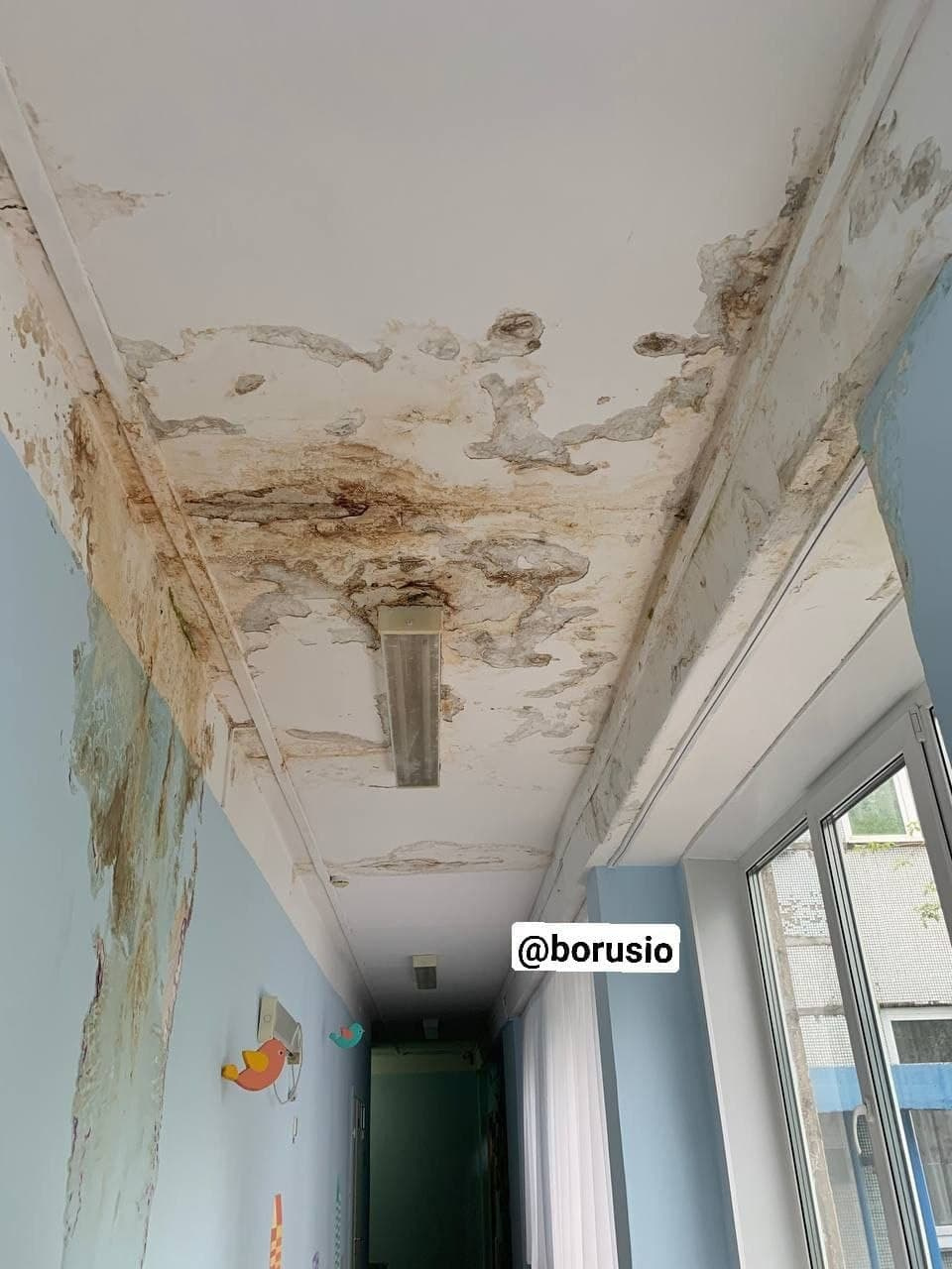 В саду рассказали, что крыша течет после дождей В саду рассказали, что крыша течет после дождей