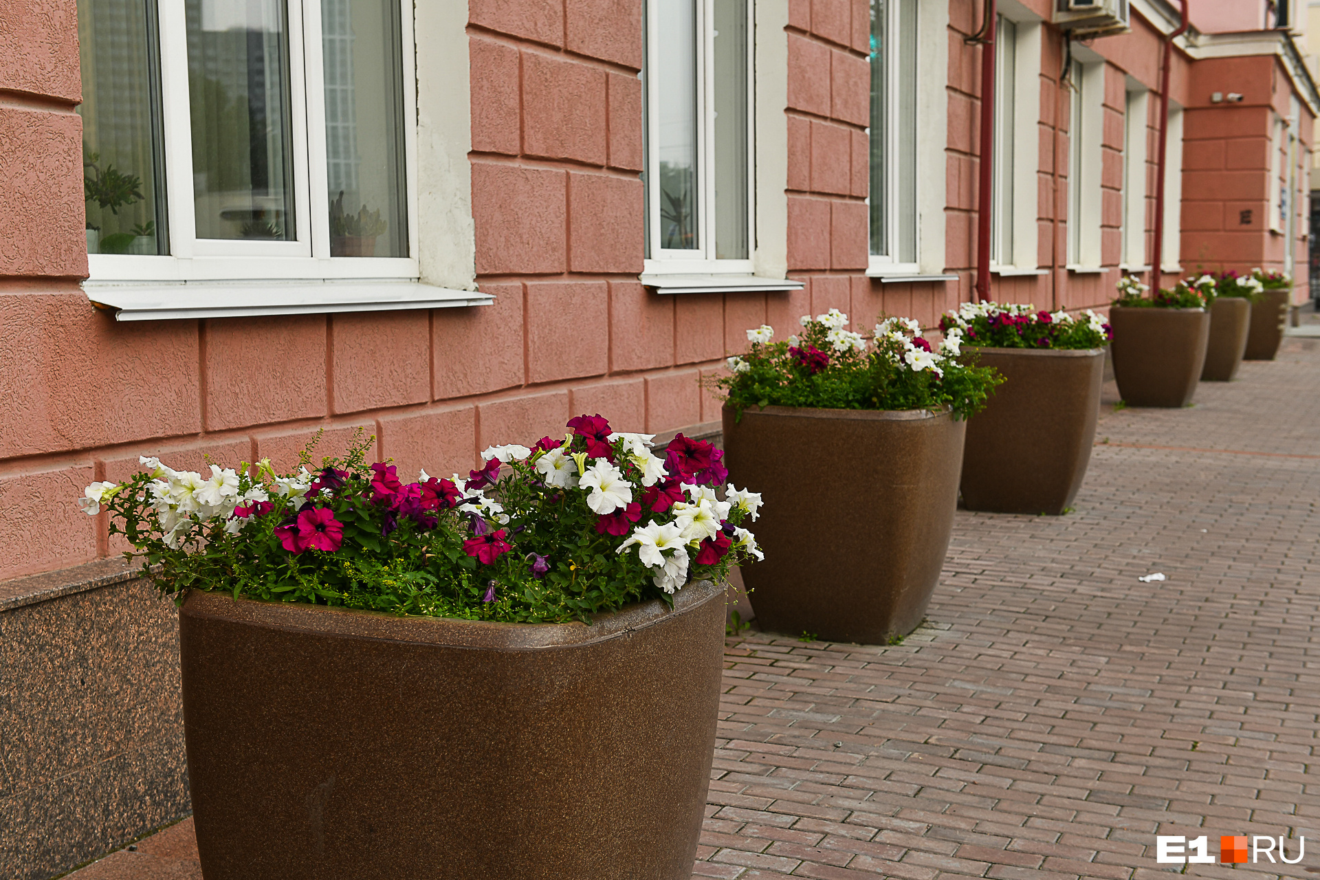 Зато у администрации Чкаловского района прелестные вазоны с цветами