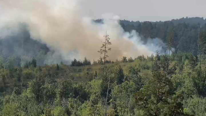 На тушение крупного лесного пожара в Тольятти направили самолет-амфибию из Магнитогорска