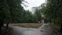В Новосибирске полмиллиона решили вложить в участок Первомайского сквера, где снесли кафе